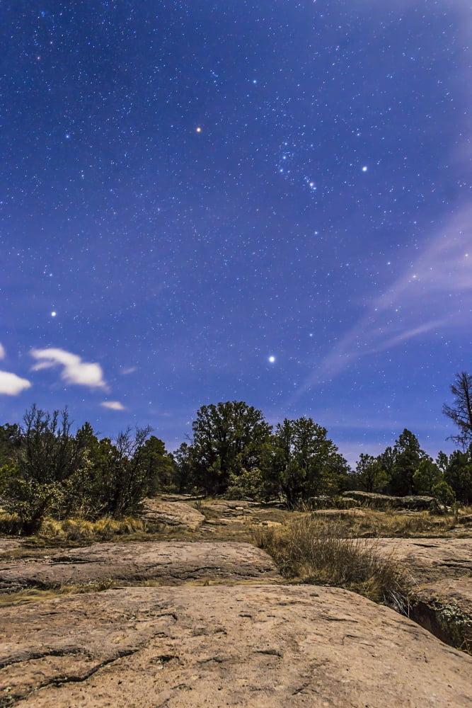 Orion and Sirius rising in the moonlight over Gila National Forest New Mexico Canvas Art - Alan DyerStocktrek Images (23 x 34)