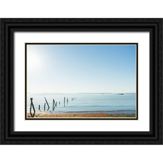 Orlando 14x11 Black Ornate Wood Framed with Double Matting Museum Art Print Titled - Far Away View