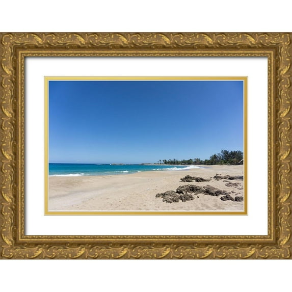 Orlando 14x11 Gold Ornate Wood Framed with Double Matting Museum Art Print Titled - Bay Side 3