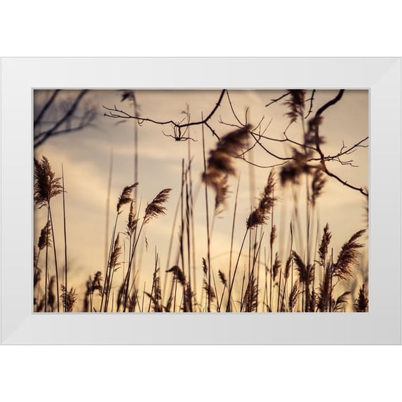Orlando 24x17 White Modern Wood Framed Museum Art Print Titled - No Worries