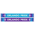 thumbnail image 1 of Orlando Pride Two-Tone Scarf, 1 of 3