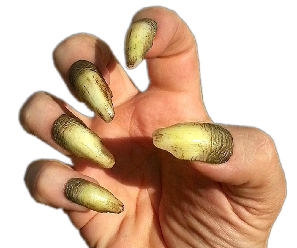 Orlock Creepy Claws by Dental Distortions