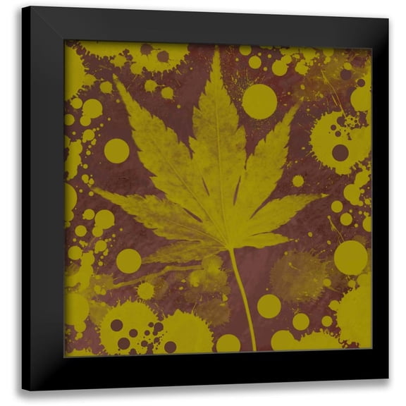 Orlov, Irena 12x12 Black Modern Framed Museum Art Print Titled - Botany Expressions II