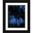 thumbnail image 1 of Orlov, Irena 12x14 Black Ornate Wood Framed with Double Matting Museum Art Print Titled - Midnight Sky, 1 of 4