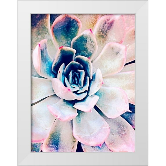 Orlov, Irena 12x14 White Modern Wood Framed Museum Art Print Titled - Pastel Succulent Beauty II