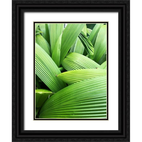 Orlov, Irena 15x18 Black Ornate Wood Framed with Double Matting Museum Art Print Titled - Monster Leaves I