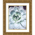 thumbnail image 1 of Orlov, Irena 15x18 Gold Ornate Wood Framed with Double Matting Museum Art Print Titled - Pastel Succulent Beauty IV, 1 of 4