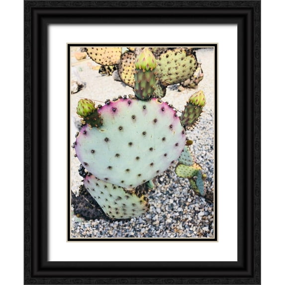 Orlov, Irena 19x24 Black Ornate Wood Framed with Double Matting Museum Art Print Titled - Pink Green Cactus I
