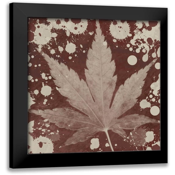 Orlov, Irena 20x20 Black Modern Framed Museum Art Print Titled - Botany Expressions IV