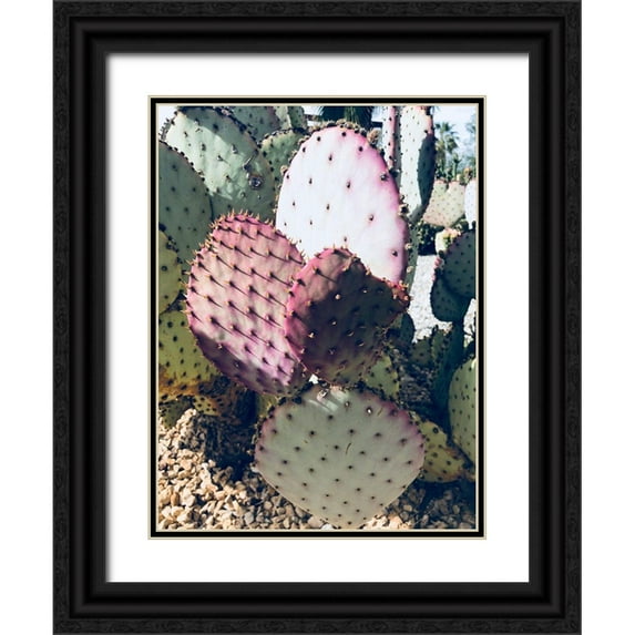 Orlov, Irena 25x32 Black Ornate Wood Framed with Double Matting Museum Art Print Titled - Pink Green Cactus III