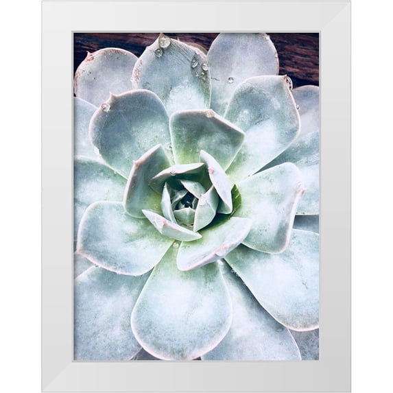Orlov, Irena 25x32 White Modern Wood Framed Museum Art Print Titled - Pastel Succulent Beauty IV