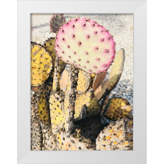 Orlov, Irena 25x32 White Modern Wood Framed Museum Art Print Titled - Pink Yellow Cactus II