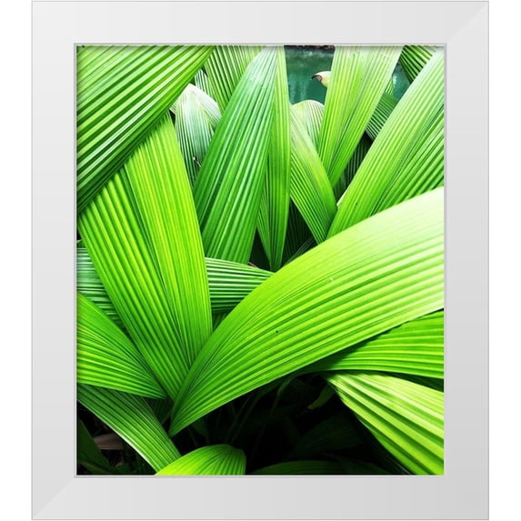 Orlov, Irena 26x30 White Modern Wood Framed Museum Art Print Titled - Monster Leaves II