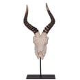 thumbnail image 1 of Ormere Polyresin Goat Head Decor, 1 of 7