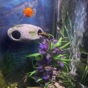 OrnaMounts® Magnetic Rock Cave Aquarium Decor with Magnetic Attachment Handle, Gray