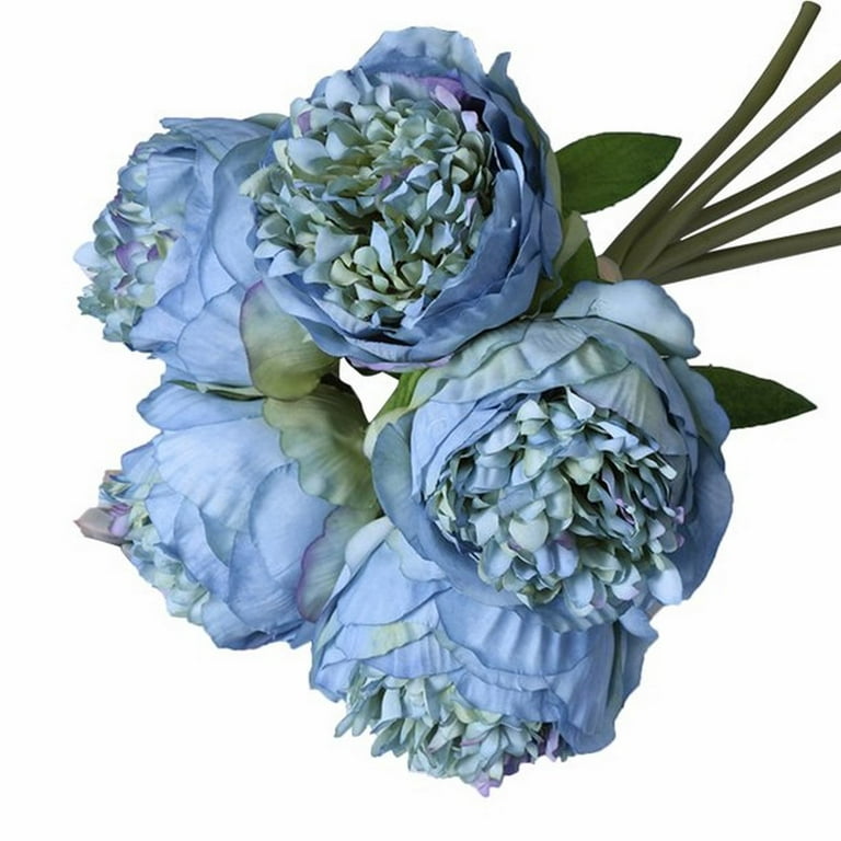 Ornamental Cabbage Hand Tied Flower Bouquet 5 Peonies North American  European Style Garden Home Decoration Ornaments Flowers Silk Flowers Dry  Foam for Artificial Flowers 
