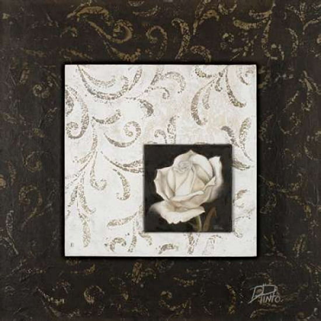 Ornaments and Rose II Canvas Art - Patricia Pinto (24 x 24)