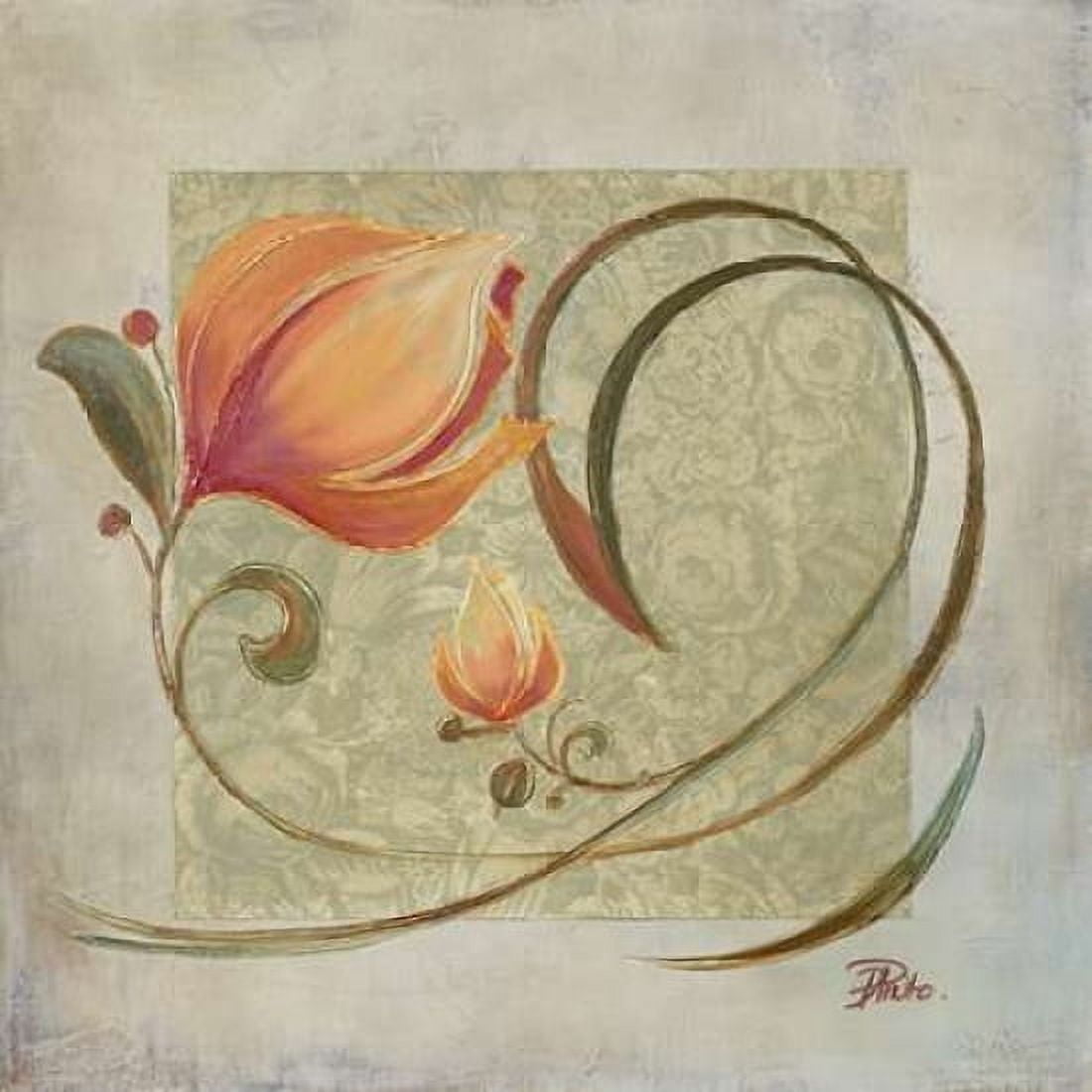 Ornaments in Peach I Canvas Art - Patricia Pinto (24 x 24)