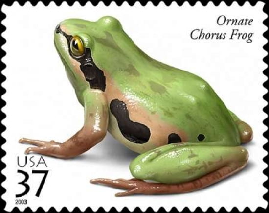 Ornate Chorus Frog Canvas Art - US POSTAL SERVICE (24 x 30)
