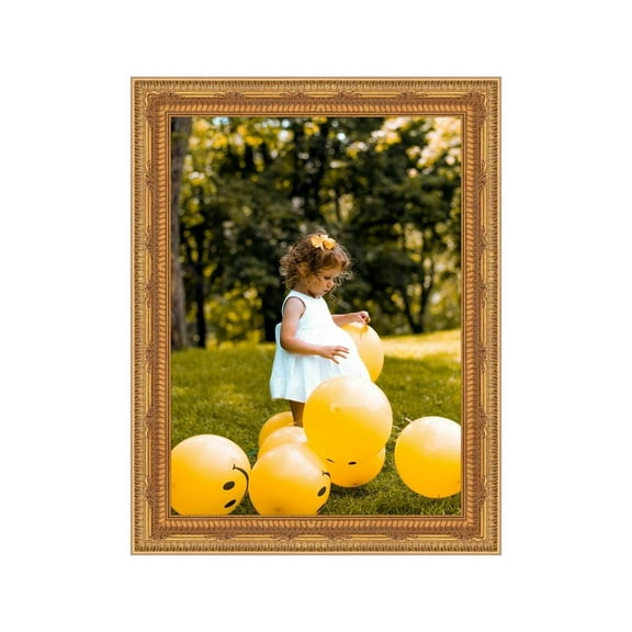 Ornate Gold Picture Frame