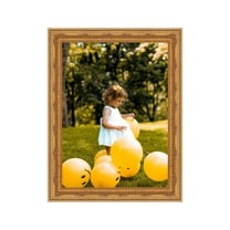 Ornate Gold Picture Frame