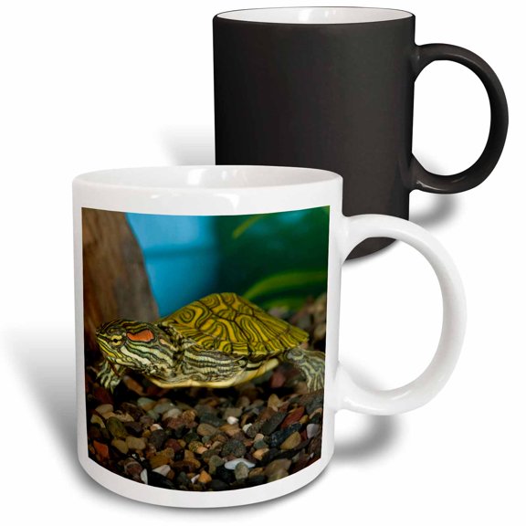 3drose, Ornate Red Ear Slider Turtle - Na02 Dno0772 - David Northcott, 11oz Magic Transforming Mug