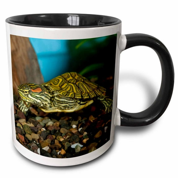 3drose, Ornate Red Ear Slider Turtle - Na02 Dno0772 - David Northcott, 15oz Two-tone Black Mug