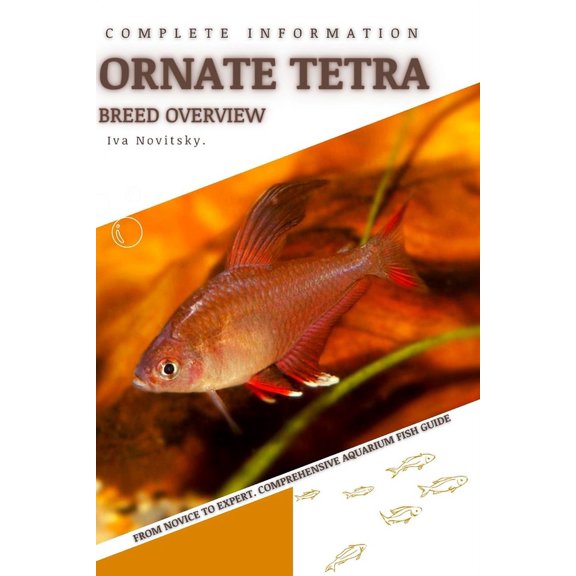 Ornate Tetra : From Novice to Expert. Comprehensive Aquarium Fish Guide (Paperback)