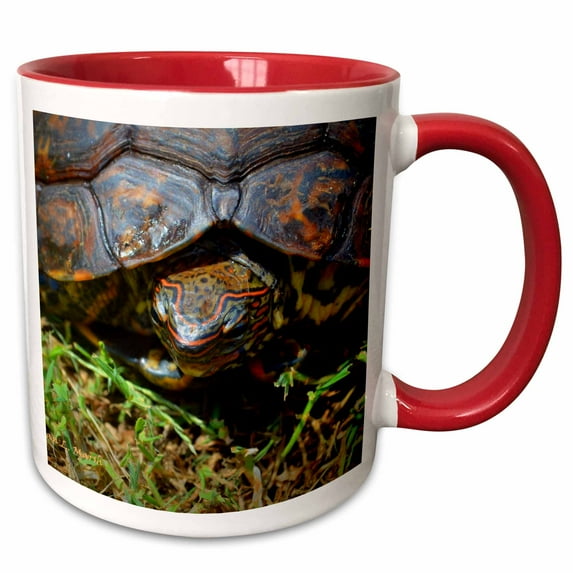 Ornate Turtle top view saturated 15oz Two-Tone Red Mug mug-164344-10