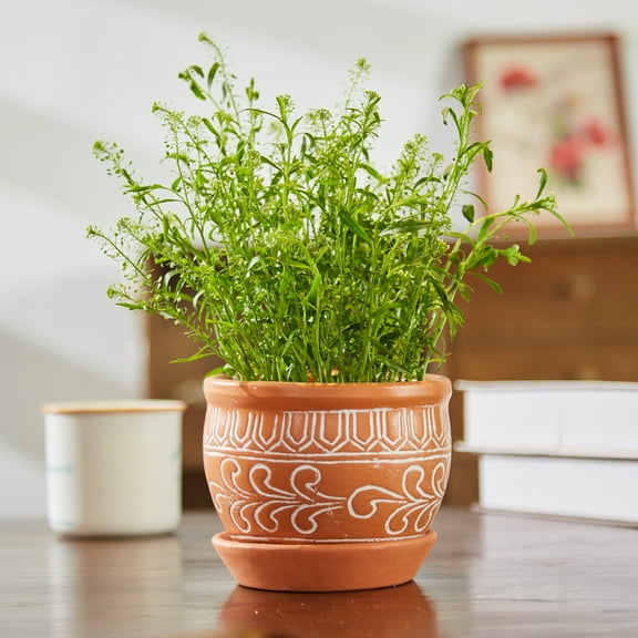 Ornaterra Indoor Ceramic Pot With Saucer - Small Ceramic Planter, Handmade Ceramic Pot, Balcony Planter, Modern Ceramic Pot, Cactus Plant Pot,