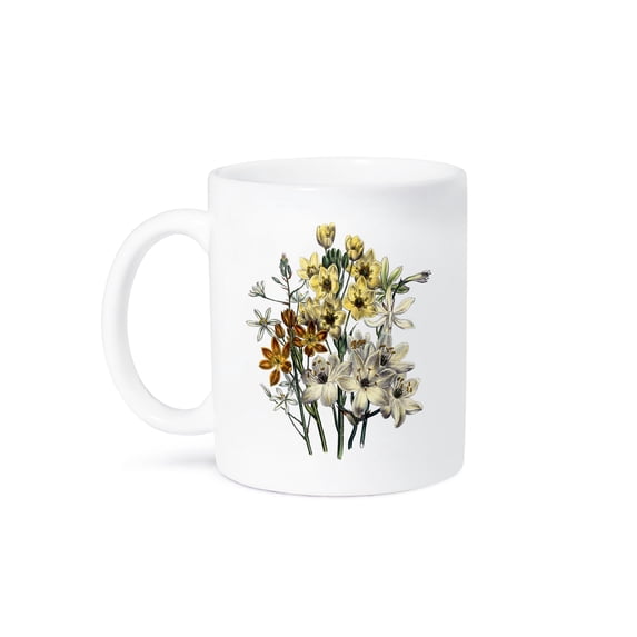3dRose, Ornithagalum With White, Ruse and Pale Yellow Flowers, 11oz Mug