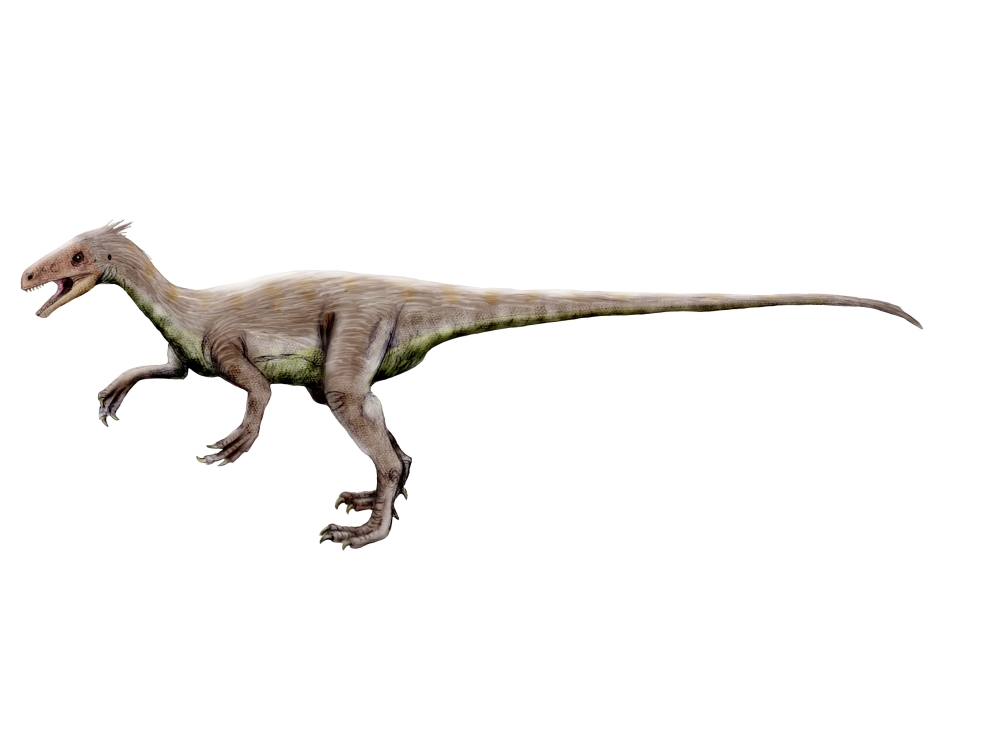 Ornitholestes dinosaur Canvas Art - Nobumichi TamuraStocktrek Images (33 x 25)