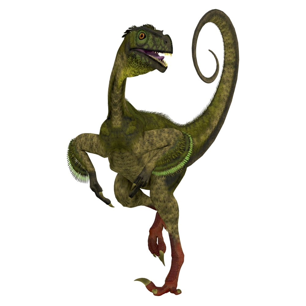 Ornitholestes dinosaur front view Canvas Art - Corey FordStocktrek Images (28 x 28)