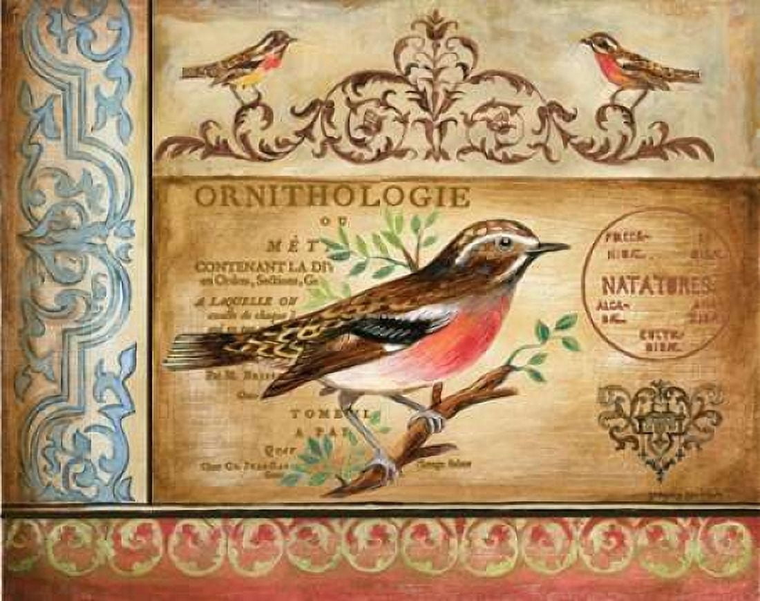 Ornithology Canvas Art - Gregory Gorham (22 x 28)