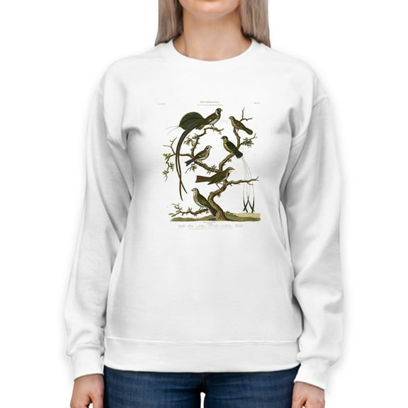 Ornithology I Sweatshirt Women -Sydenham Edwards Designs, Female x-Large