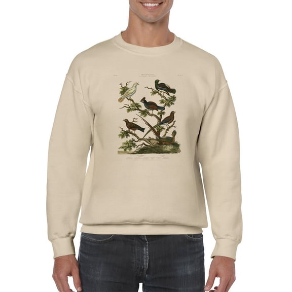 Ornithology Ii Sweatshirt Men -Sydenham Edwards Designs, Male XX-Large