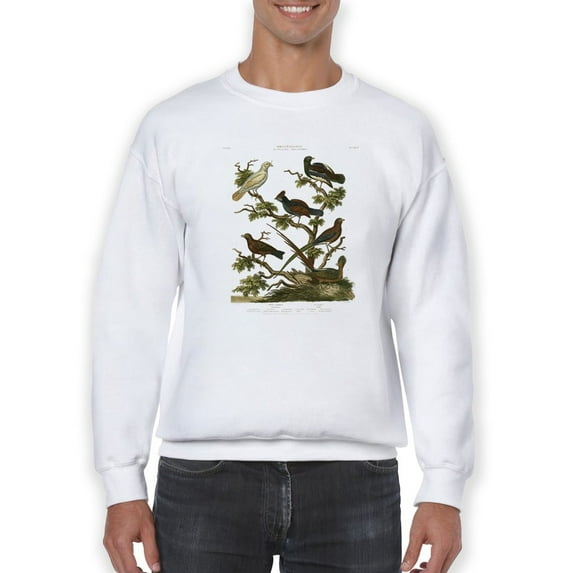 Ornithology Ii Sweatshirt Men -Sydenham Edwards Designs, Male XX-Large