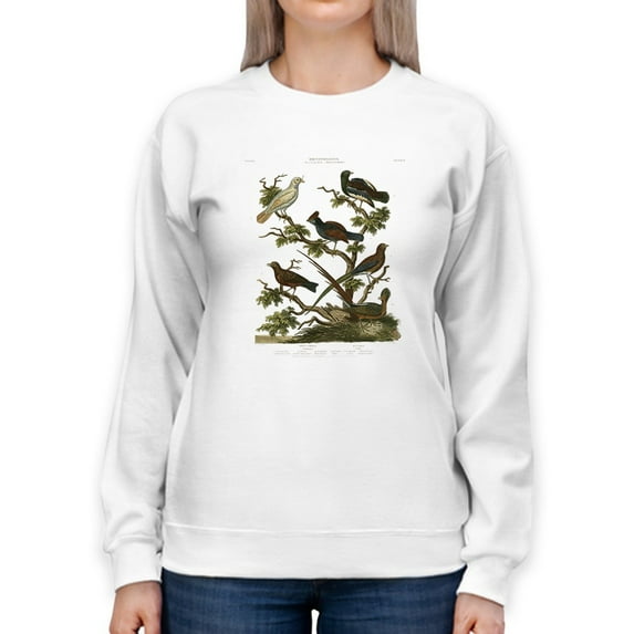 Ornithology Ii Sweatshirt Women -Sydenham Edwards Designs, Female 3X-Large