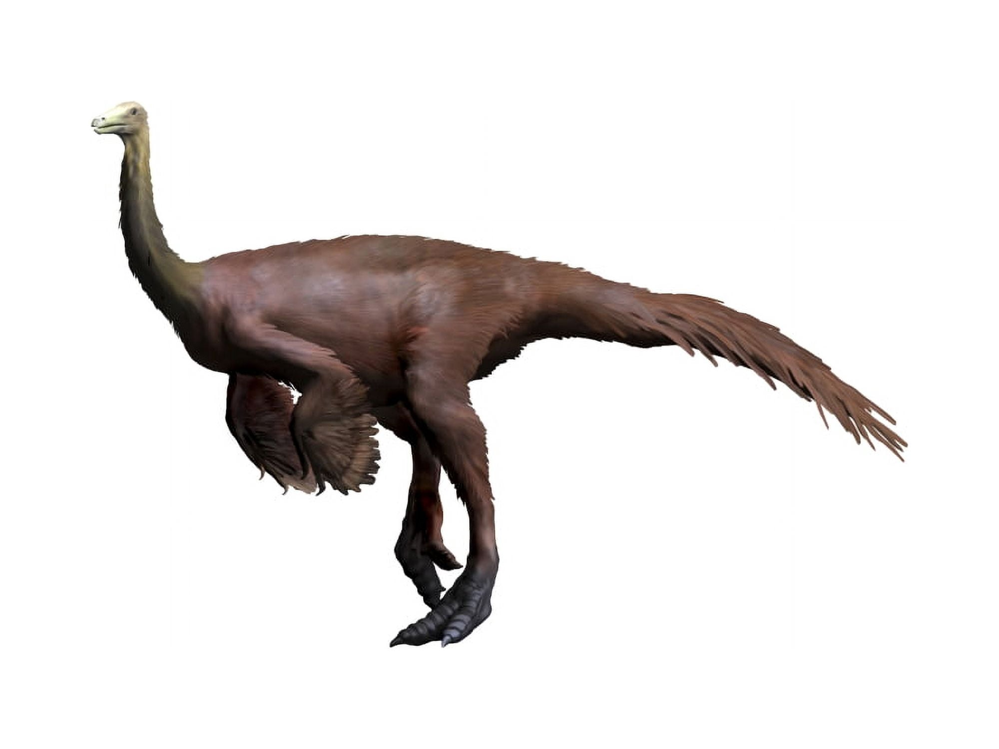 Ornithomimus dinosaur Canvas Art - Nobumichi TamuraStocktrek Images (17 x 13)