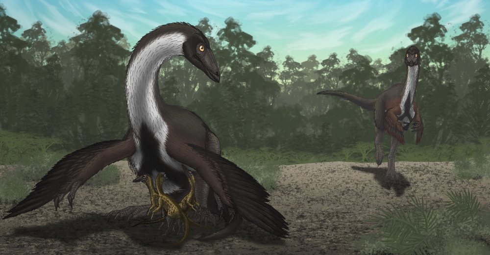 Ornithomimus mother dinosaur with juveniles adult male in background Canvas Art - Vitor SilvaStocktrek images (20 x 11)