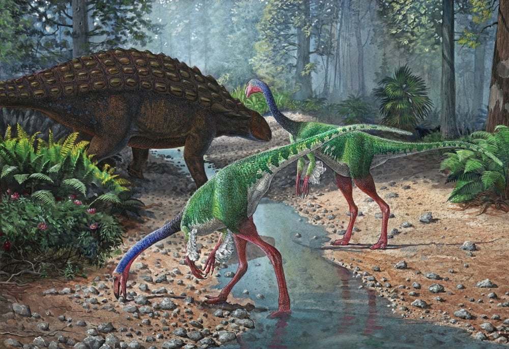 Ornithomimus swallowing stones along a stream as part of their diet Canvas Art - Sergey KrasovskiyStocktrek Images (34 x 24)