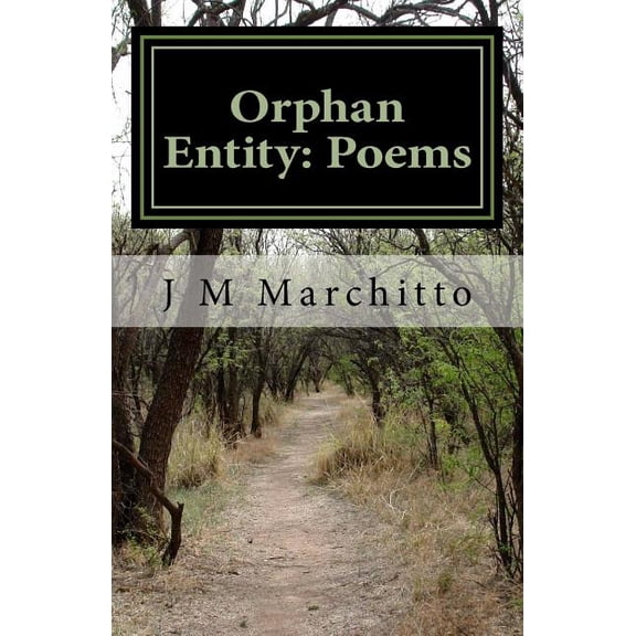 Orphan Entity (Paperback)
