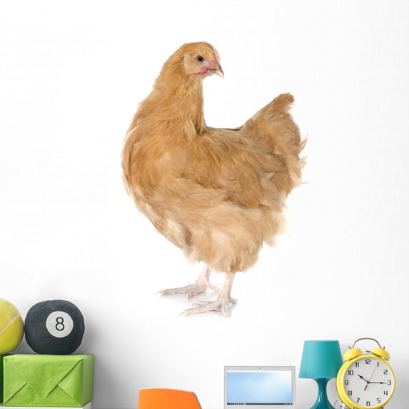 Orpington Chicken Wall Mural by Wallmonkeys Peel and Stick Graphic (48 in H x 48 in W) WM122024