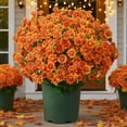 thumbnail image 1 of Ortasthard Artificial Mums, No Fade Fall Faux Flower Decor, Artificial Outdoor Sunset Mums Flowers - UV Resistant, Waterproof, Windproof, 1 of 7