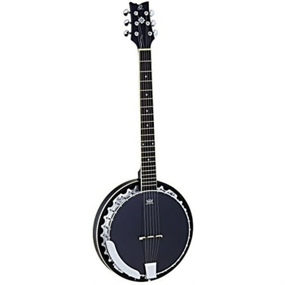 Raven Series 6-String Banjo with Bag