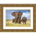 thumbnail image 1 of Ortega, Xavier 14x11 Gold Ornate Wood Framed with Double Matting Museum Art Print Titled - Elephant Mom Protecting Her Calves, 1 of 4