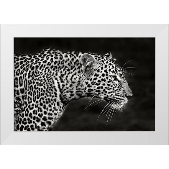 Ortega, Xavier 14x11 White Modern Wood Framed Museum Art Print Titled - Leopard Close Up