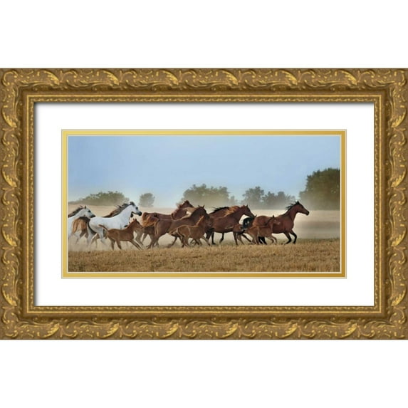 Ortega, Xavier 14x9 Gold Ornate Wood Framed with Double Matting Museum Art Print Titled - Freedom