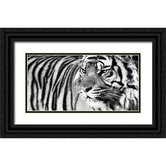Ortega, Xavier 18x11 Black Ornate Wood Framed with Double Matting Museum Art Print Titled - Tiger Eyes