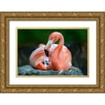 thumbnail image 1 of Ortega, Xavier 18x13 Gold Ornate Wood Framed with Double Matting Museum Art Print Titled - Mom Flamingo With Chick, 1 of 4